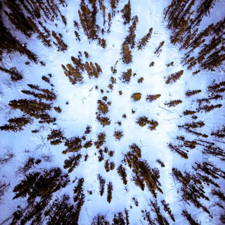 Instagram post by Aurélien Caye